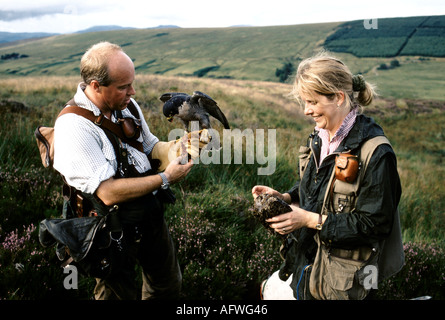 Emma Ford und Steve Ford von der British School of Falconry in Gleneagles Scotland mit Harris Hawk Birds of Prey. 1990S UK HOMER SYKES Stockfoto