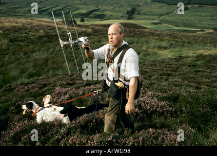 Steve Ford, britische Schule der Falknerei, hält einen Sender, der versucht, einen Harris Hawk zu lokalisieren, nachdem er heruntergekommen ist, kann man ihn nicht sehen. 1997 1990er Jahre Großbritannien Stockfoto