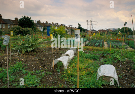Zuteilung South London-England-Großbritannien Stockfoto