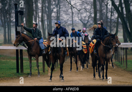 Rennpferd Bereiten Sie sich darauf vor, Sir Michael Stoute's Yard zu verlassen, um am Morgen auf Warren Hill, Newmarket Heath, Suffolk 1990s 1993 UK HOMER SYKES zu galoppieren. Stockfoto