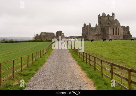 Dunbrody Abbey Dumbrody Grafschaft Wexford Ireland Stockfoto