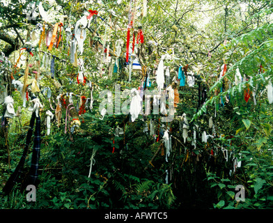 Madron Heiliger Brunnen Madron Cornwall. Votivopfer hängen von den Zweigen ein kleiner Dorn Baum 1990er Jahre Cornish Folklore heidnischen Ritual 1995 HOMER SYKES Stockfoto