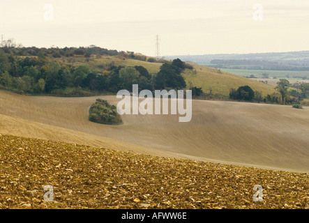 Keine Hecke, riesige Felder Prärie-Landwirtschaft fehlende Hedging East Sussex England gerodete Hecken 1992, 1990, UK HOMER SYKES Stockfoto