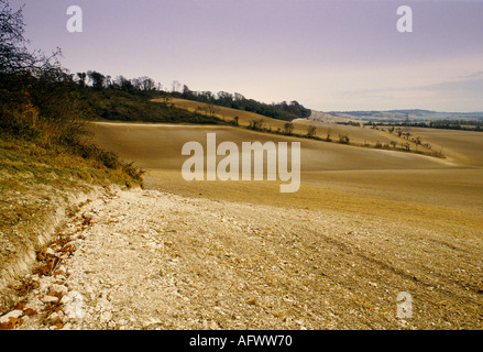 Keine Hecken riesige große Felder Prärie Landwirtschaft East Sussex England gerodete Hecken 1992, 1990, UK HOMER SYKES Stockfoto