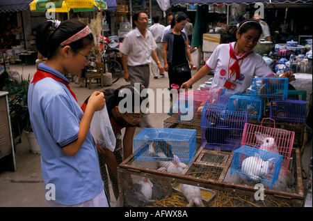 Hangzhou Zheijang Provinz 2000s China. Teen girls going Home after School looking at PET Hasen for Sale in local Market 2001 HOMER SYK Stockfoto