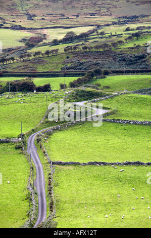 kleinen engen gewundenen windigen Land Lane Straße durch Farmland bis Torr head Stockfoto