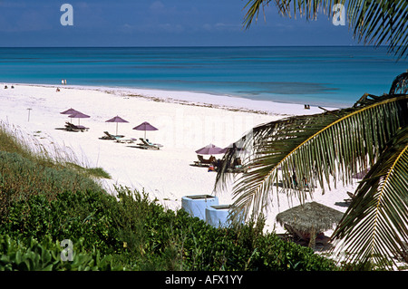Strand im Pink Sands Hotel in Harbour Island Bahamas Stockfoto