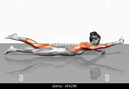 Arm-Beinstrecken (Teil 1 von 2) Stockfoto