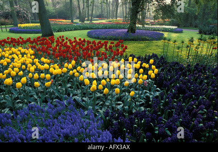 Niederländischen Lisse Blumengärten genannt De Keukenhof Stockfoto