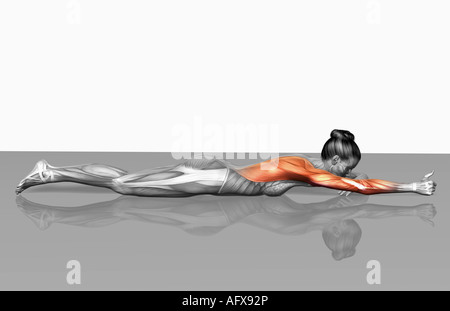 Arm-Beinstrecken (Teil2 von 2) Stockfoto