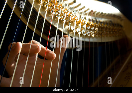 Traditionelle voller Größe klassische Konzertharfe nahe Detail Saiten Tasten - Finger, die Saiten zupfen Stockfoto