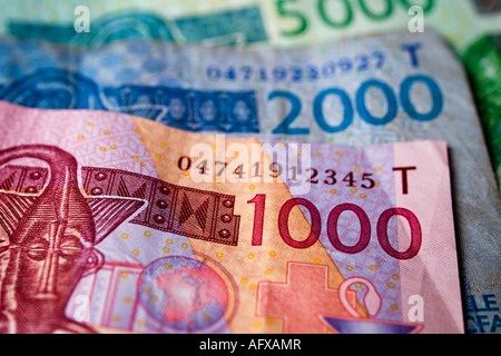 Detail von einem 1000, 2000 und 5000 Banknoten aus Westafrika. Stockfoto