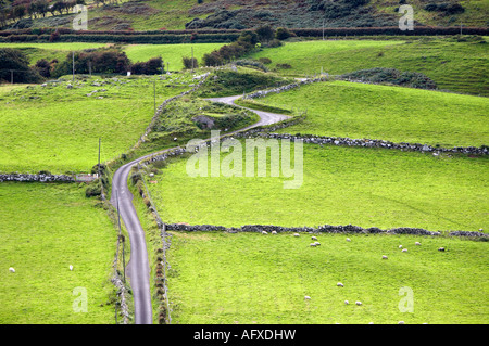 kleinen engen gewundenen windigen Land Lane Straße durch Farmland bis Torr head Stockfoto