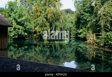 ALBURY SURREY England UK November die umliegenden Bäume in The Silent Pool spiegeln Stockfoto