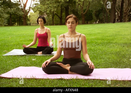 Zwei passen junge Frauen praktizieren Yoga und Meditation auf Matten in die Landschaft Stockfoto