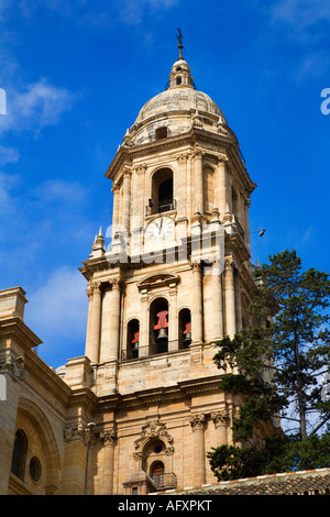 Die Kathedrale Malaga Spanien Stockfoto