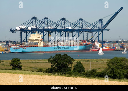 Suffolk Landscape River Orwell & Felixstowe Container Port ein kommerzielles Geschäft mit Kräne Entladen Maersk Sealand Shipping Containers UK Stockfoto