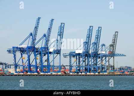 Hafen von Felixstowe Containerumschlag Krane stehen neben River Orwell-Mündung im Leerlauf Stockfoto