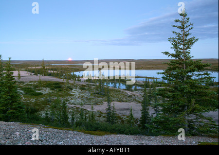 Rising Moon in der Tundra in der Nähe von Whitefish Lake in einem Gebiet namens The Barrenlands in den Northwest Territories, Kanada. Stockfoto