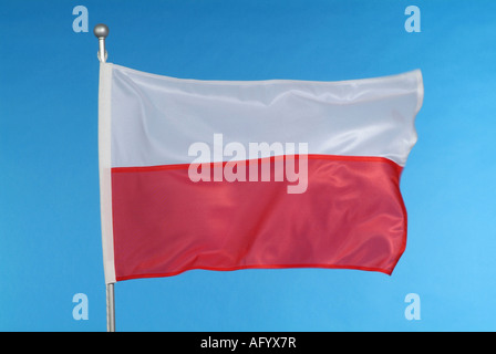 Polnische nationale Flagge gegen blauen Himmel Stockfoto