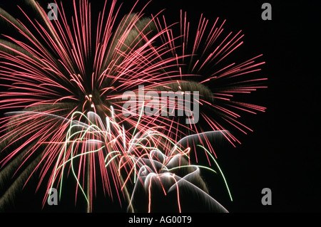 Feuerwerk am Nachthimmel Stockfoto