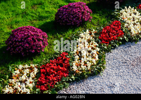 Muster aus Blumen gemacht Stockfoto