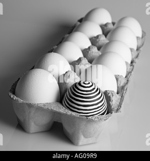 Ladung von Eiern Stockfoto