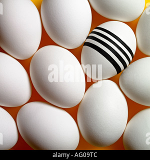 Einsame Ei mit schwarzen Streifen zwischen dem Standard anderer auf gelbem Hintergrund Stockfoto