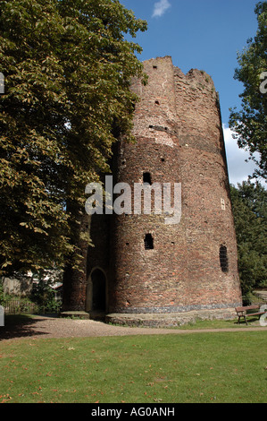 Kuh-Turm, Norwich Stockfoto