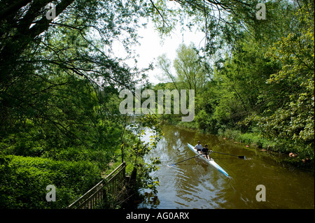 Zwei Männer im zweier ohne Rudern vorbei an Bäumen am Fluss Stour Sudbury Suffolk England Stockfoto