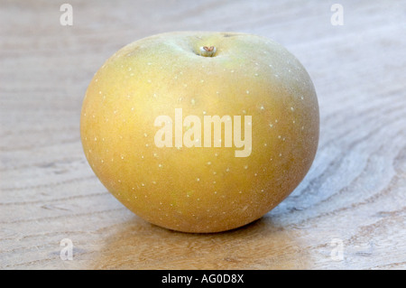 Einzelne Egremont Russet Apfel auf gemaserte Holz Stockfoto