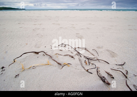 Muster der Algen und Fußabdrücke am Sandstrand auf Barra, äußeren Hebriden, Schottland Stockfoto