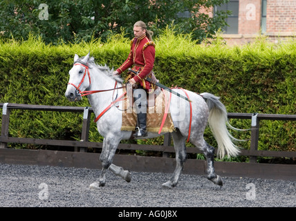 Ritter Stockfoto