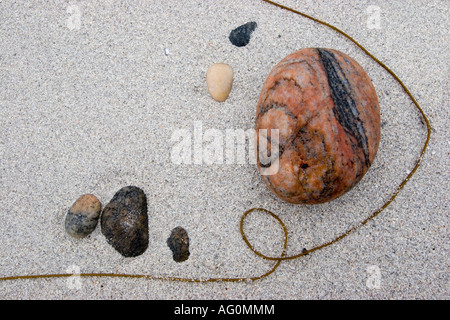 Muster aus Algen und farbigen Kieselsteinen auf sand Stockfoto