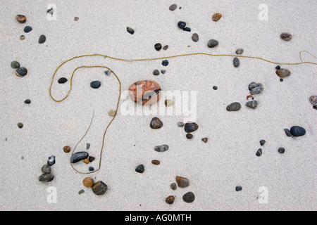 Muster aus Algen und farbigen Kieselsteinen auf sand Stockfoto