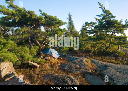 Zelt unter der Weymouthskiefer auf Green Island, Mink Inselgruppe am Georgian Bay, Ontario Stockfoto