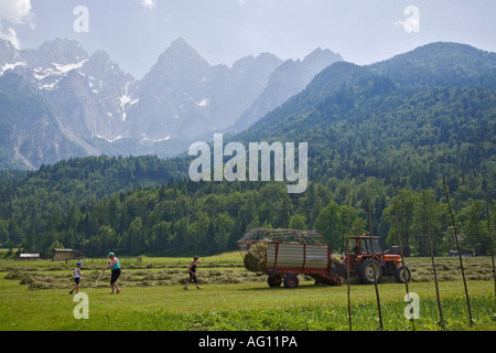 Familie Heu machen im Alpental Wiese mit Bergkette im Triglav-Nationalpark-Sommer. Gozd Martuljek-Slowenien Stockfoto