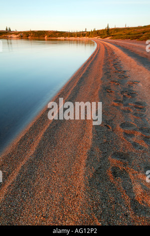 Sandstrand am Whitefish Lake in einem Gebiet namens Brachland an den Kopf Wassern von Thelon River, Northwest Territories, Kanada. Stockfoto