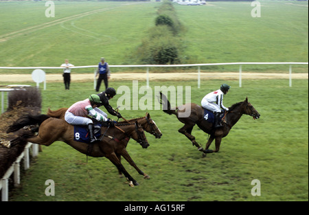 Pferde springen im Hindernislauf bei Stratford Rennen, Warwickshire, England, UK Stockfoto