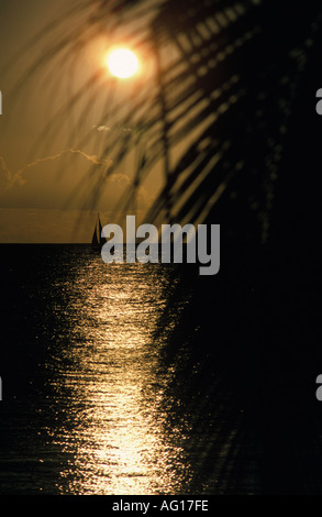 Sonnenuntergang Mauritius Stockfoto