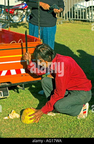 Kokosnuss-Getränke, während Sie auf eine Vintage Car Rally in Mont Choisy (Nordwestküste von Mauritius warten) Stockfoto