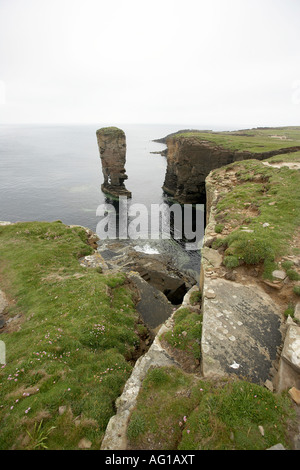 Die Burg von Yesnaby Seastack Garthna Geo Bucht Orkney Scotland UK Stockfoto