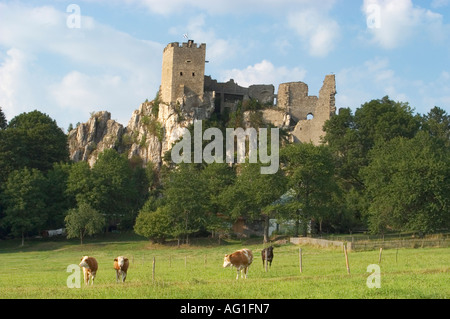 Schloss Weißenstein in der Nähe von Regen in der Region Bayerischer Wald Stockfoto