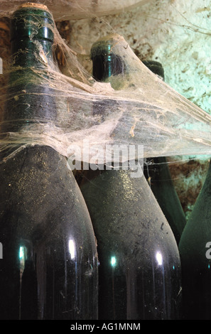 Weinflaschen in einer Cantina in Italien in Spinnennetzen abgedeckt Stockfoto