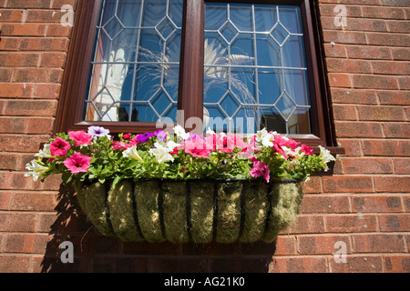 EIN FENSTER KORB MIT PETUNIA IN ROT LILA UND WEIß Stockfoto