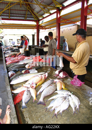 Victoria Fisch Markt, Insel Mahé, Seychellen Stockfoto