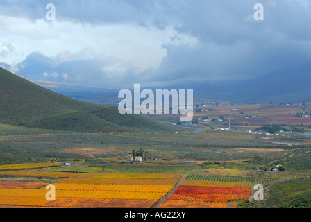 Hex River Valley im Herbst Stockfoto