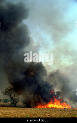 Buschfeuer in den Savannen des nördlichen Kamerun Stockfoto