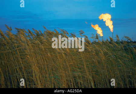 Den Stapel in die zugehörigen, den Öl Gas Surgut-City-West-Sibirien-Russland brennt Stockfoto