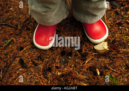 Childs Füsschen in rote Gummistiefel auf Wald-Boden stehen im Herbst. Stockfoto